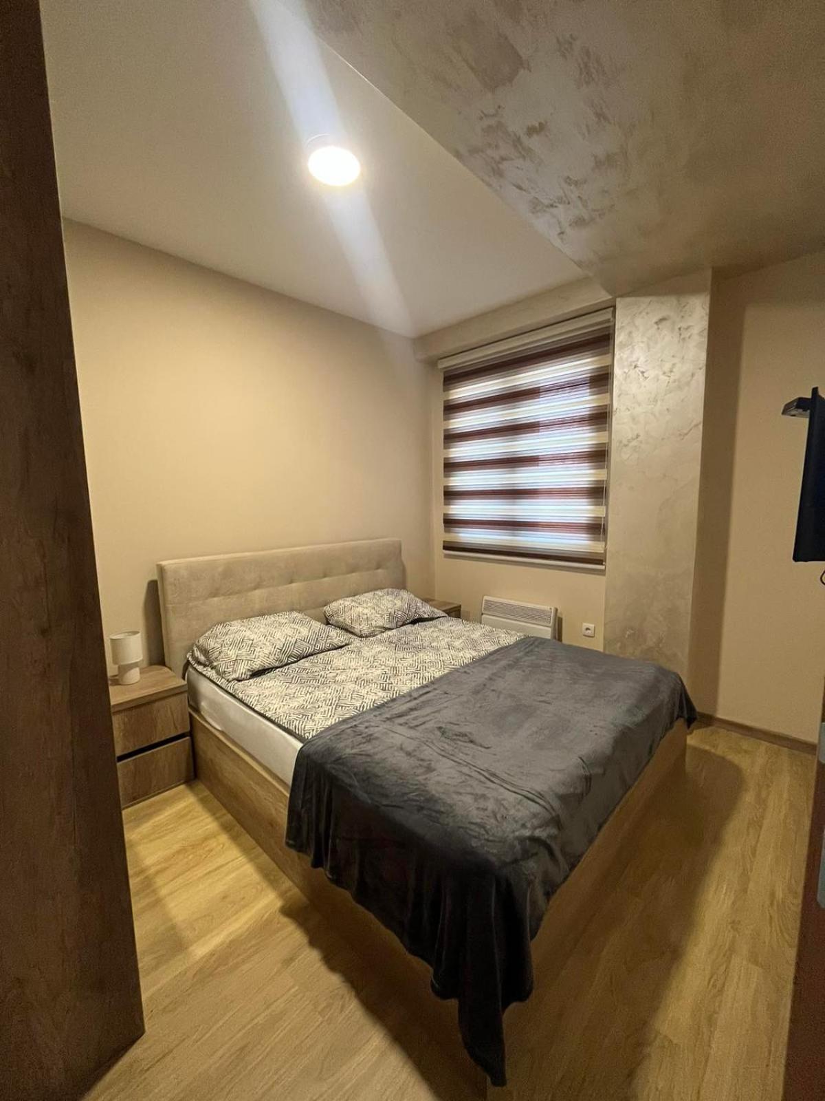 Wolf Apartment *